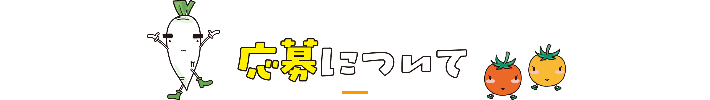 応募について